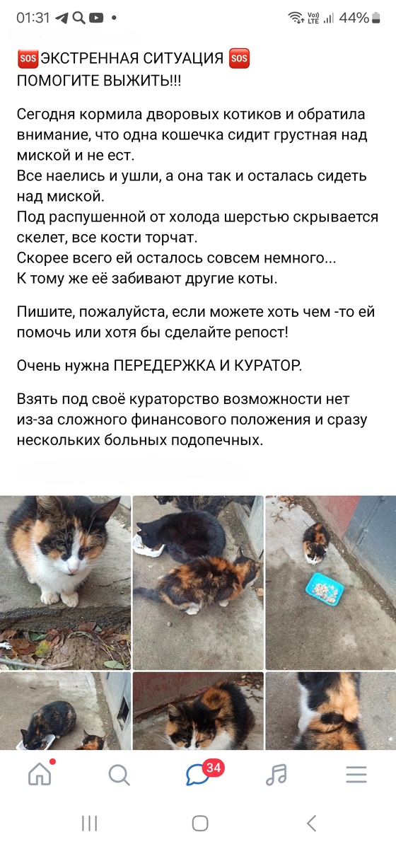 Фото автора. Вот такое сообщение.