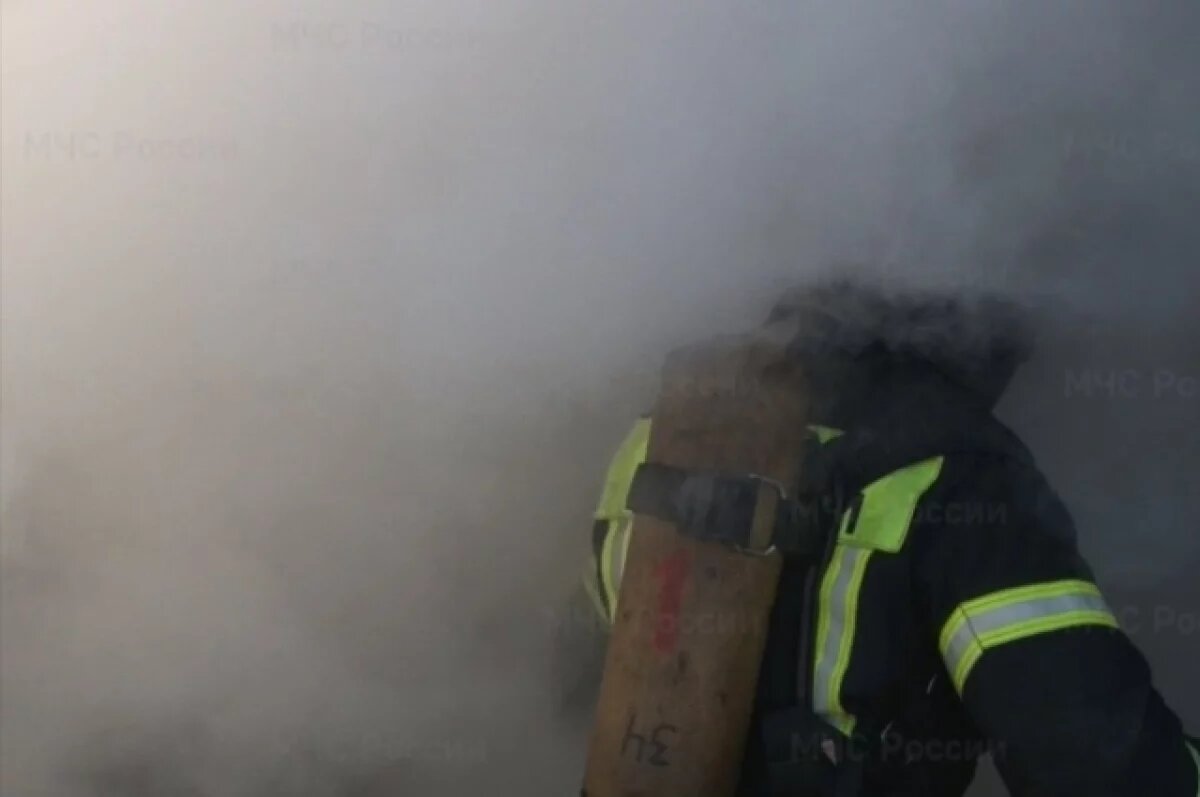    На Камчатке при пожаре на Заводской огнеборцы спасли четверых человек