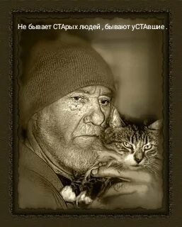 Фото из Яндекс. 