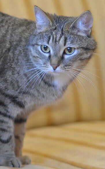 Фото из личного архива .