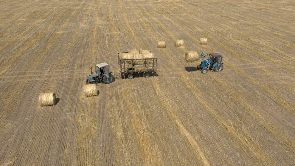 Программа даёт предприятиям возможность закрепить у себя специалистов / Фото: Vostok.Today