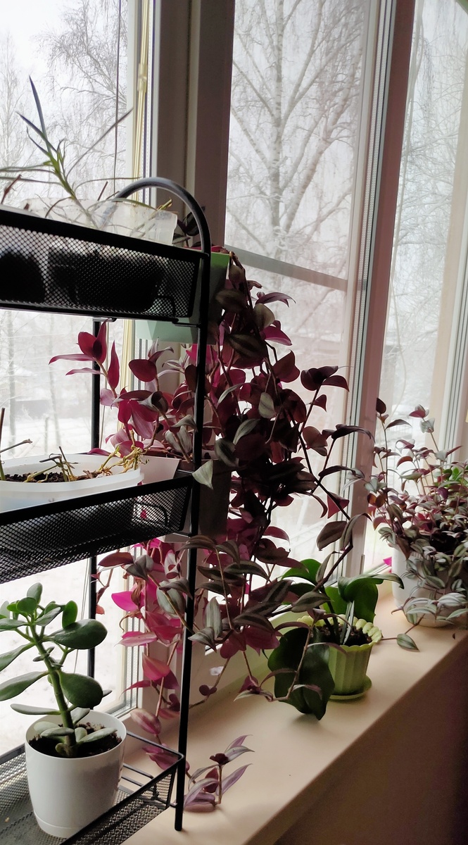 Вот. Нагородила - загородила!))