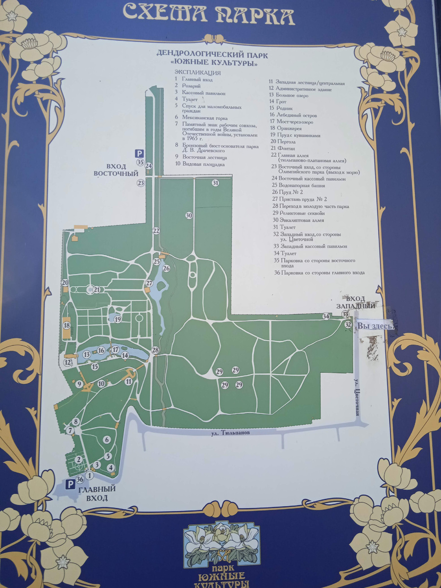 Фото автора