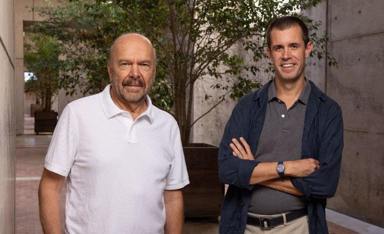    Как растения обрели способности к фотосинтезу С4 и почему это важно для мира: объясняют ученые