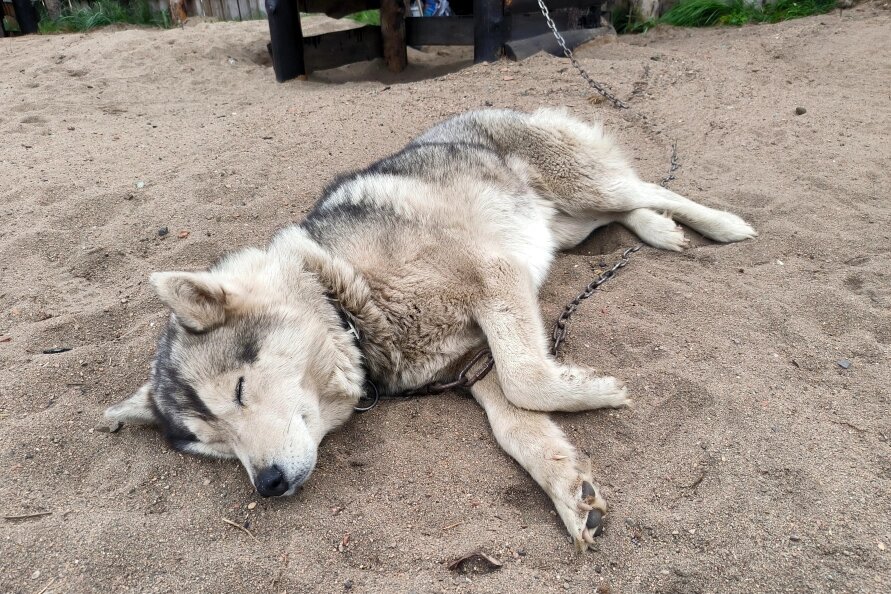    Фото: Максим Константинов/Globallookpress.