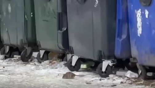 Фото: Администрация Челябинска/Народный фронт в Челябинской области