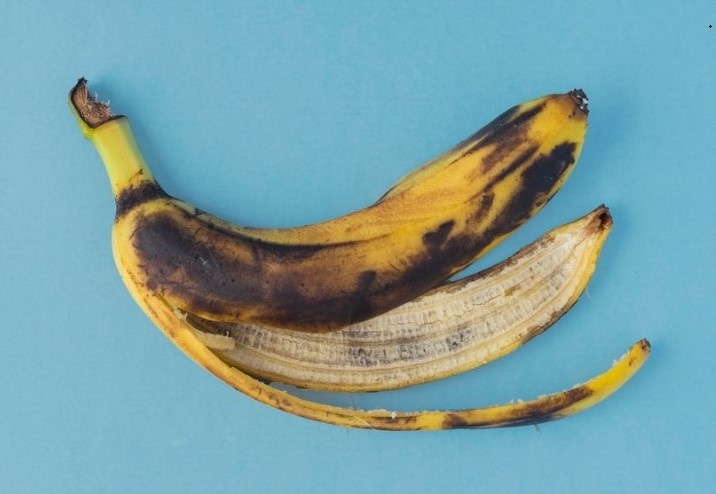    Фото: freepik.com/free-photo Анастасия Давыдова