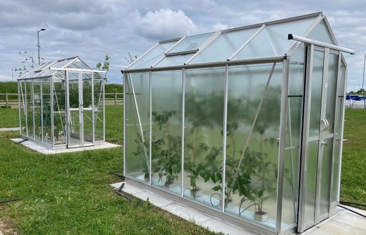    Оптимизировать тепличное выращивание в странах с дефицитом солнца поможет специальная краска