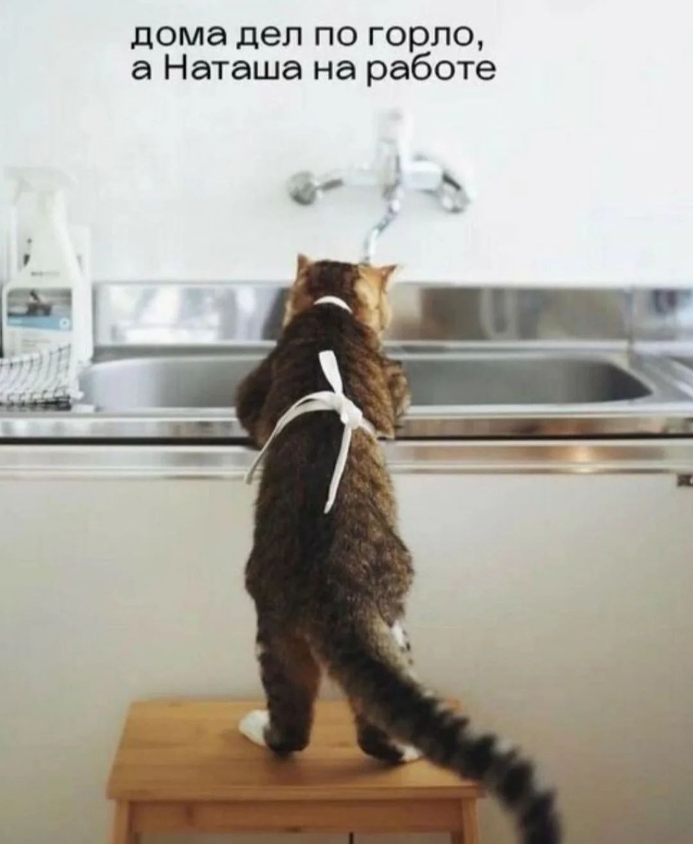 Вот так примерно у меня будет до начала декабря