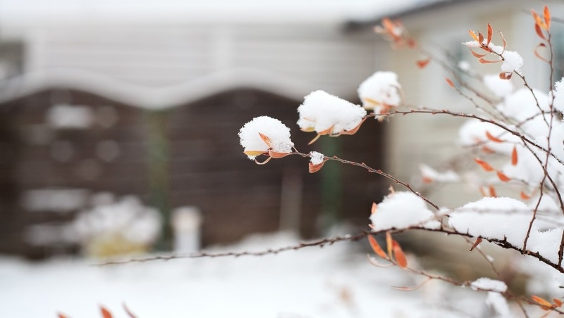 Фото: @planina / freepik.com