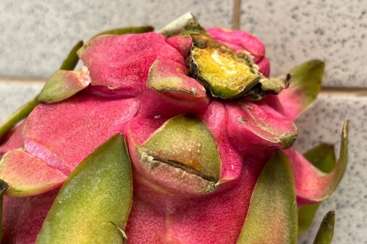    Фото: Управление Россельхознадзора по Красноярскому краю / Telegram