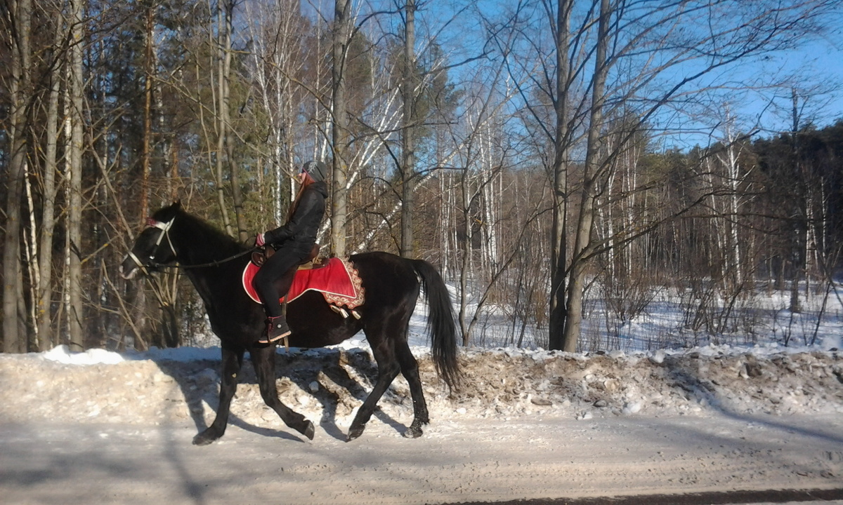 По дороге на лошади верхом! Фото автора.