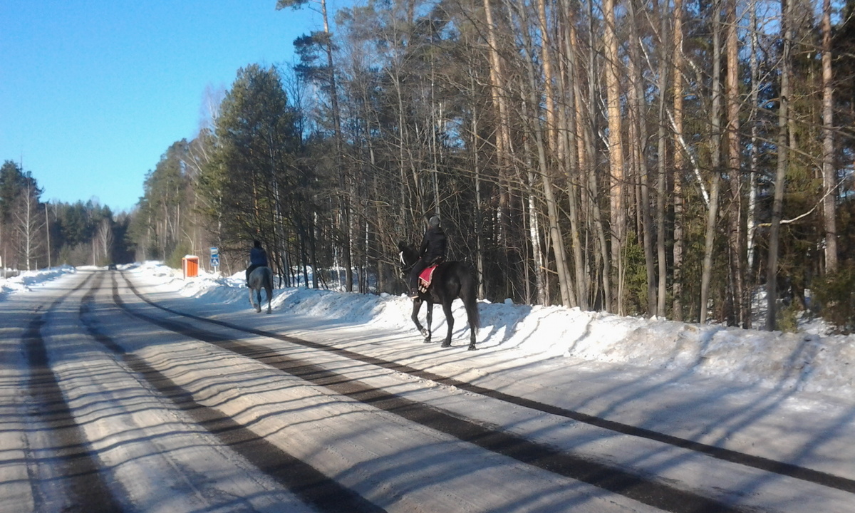 Всадники на лошадях двигаются по обочине дороги. Фото автора.