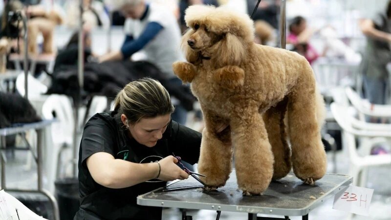     Виталия Алишаускайте Предоставлено altapress.ru