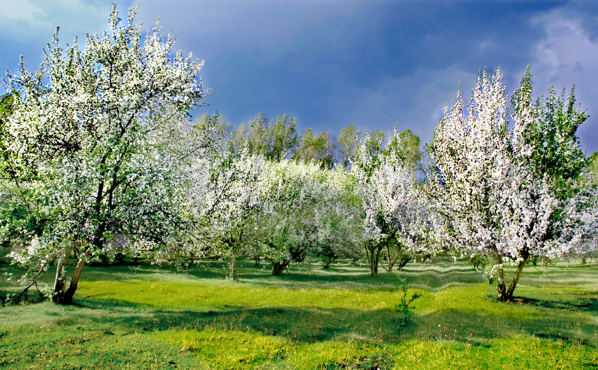 Фотография, стихотворение Василия Глуцкого