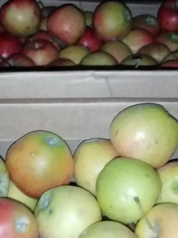 Фото: Уральское межрегиональное управление Россельхознадзора