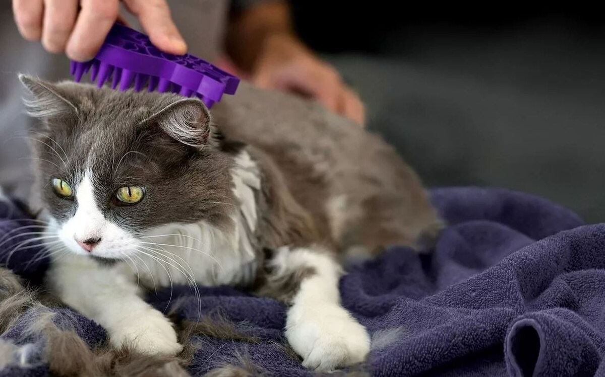 Источник: Яндекс картинки