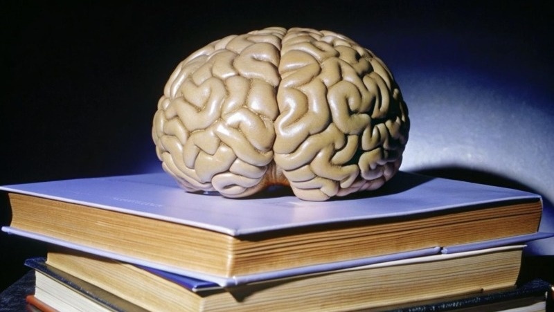 Фото: @mobarok8888 / freepik.com