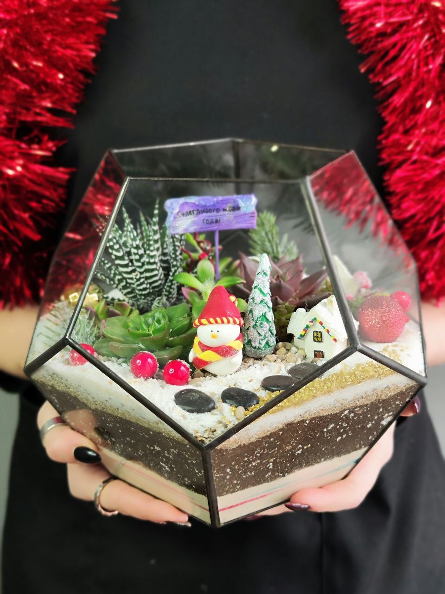 Новогодние флорариумы с суккулентами