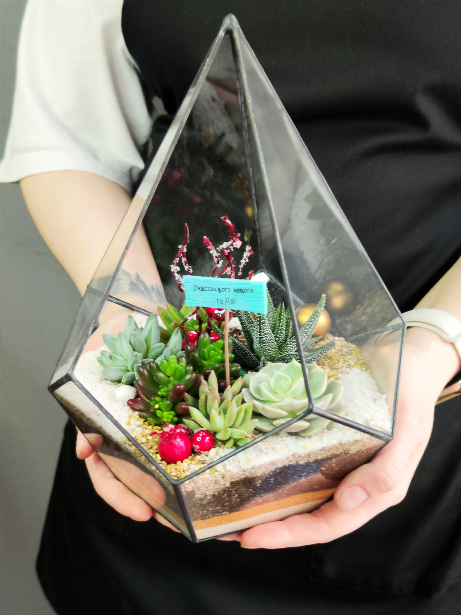 Новогодний флорариум с суккулентами "Капля средняя"