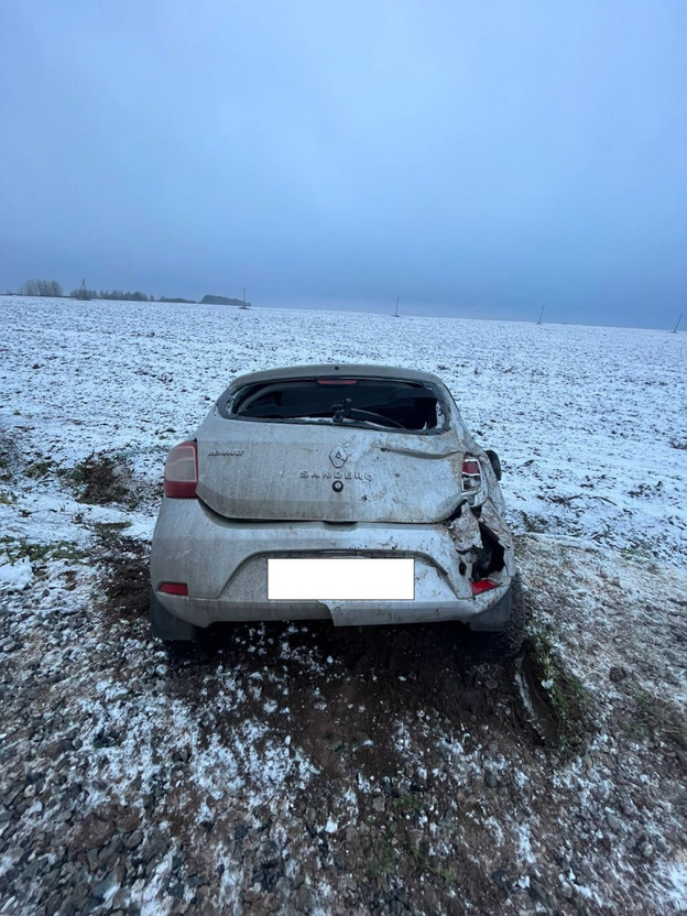    В Вятскополянском районе Renault Sandero вылетел с трассы