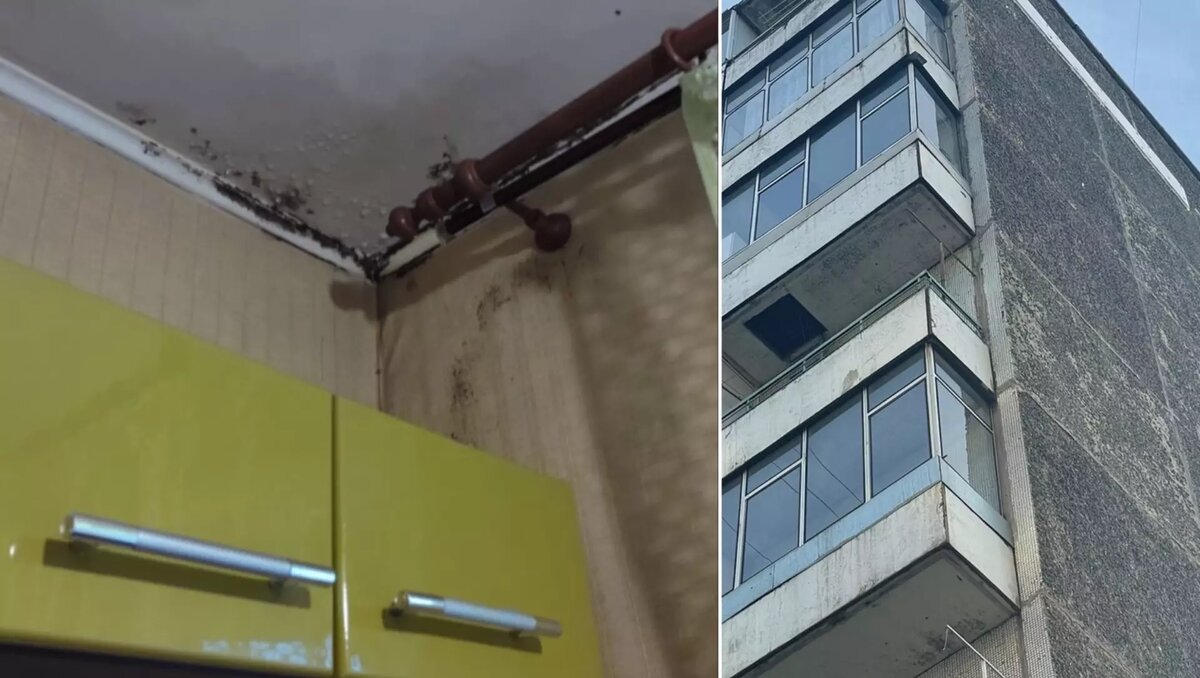     Источник: prmira.ru