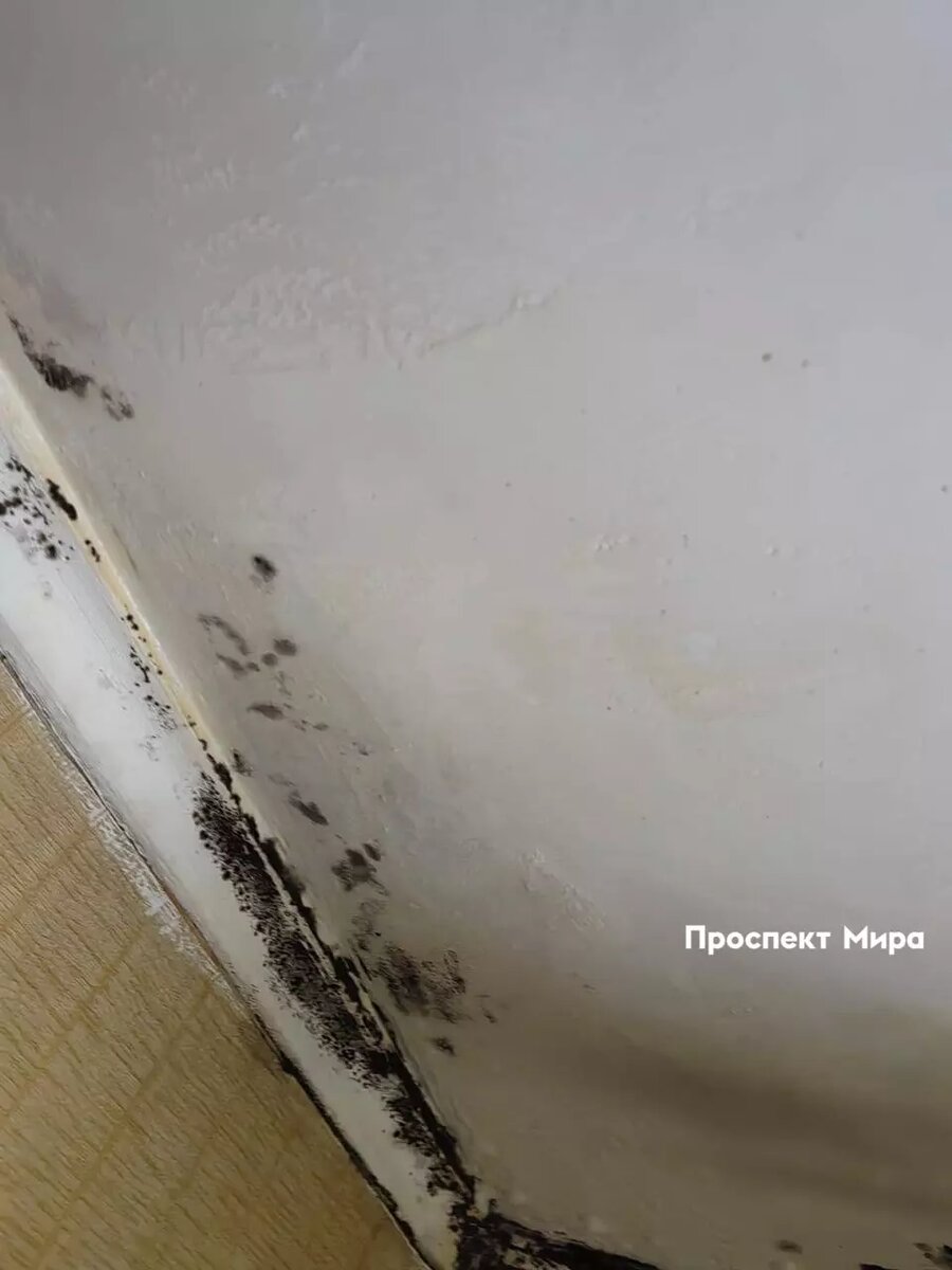     Источник: prmira.ru