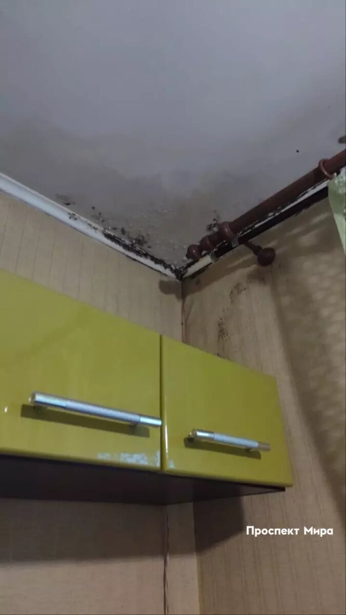     Источник: prmira.ru