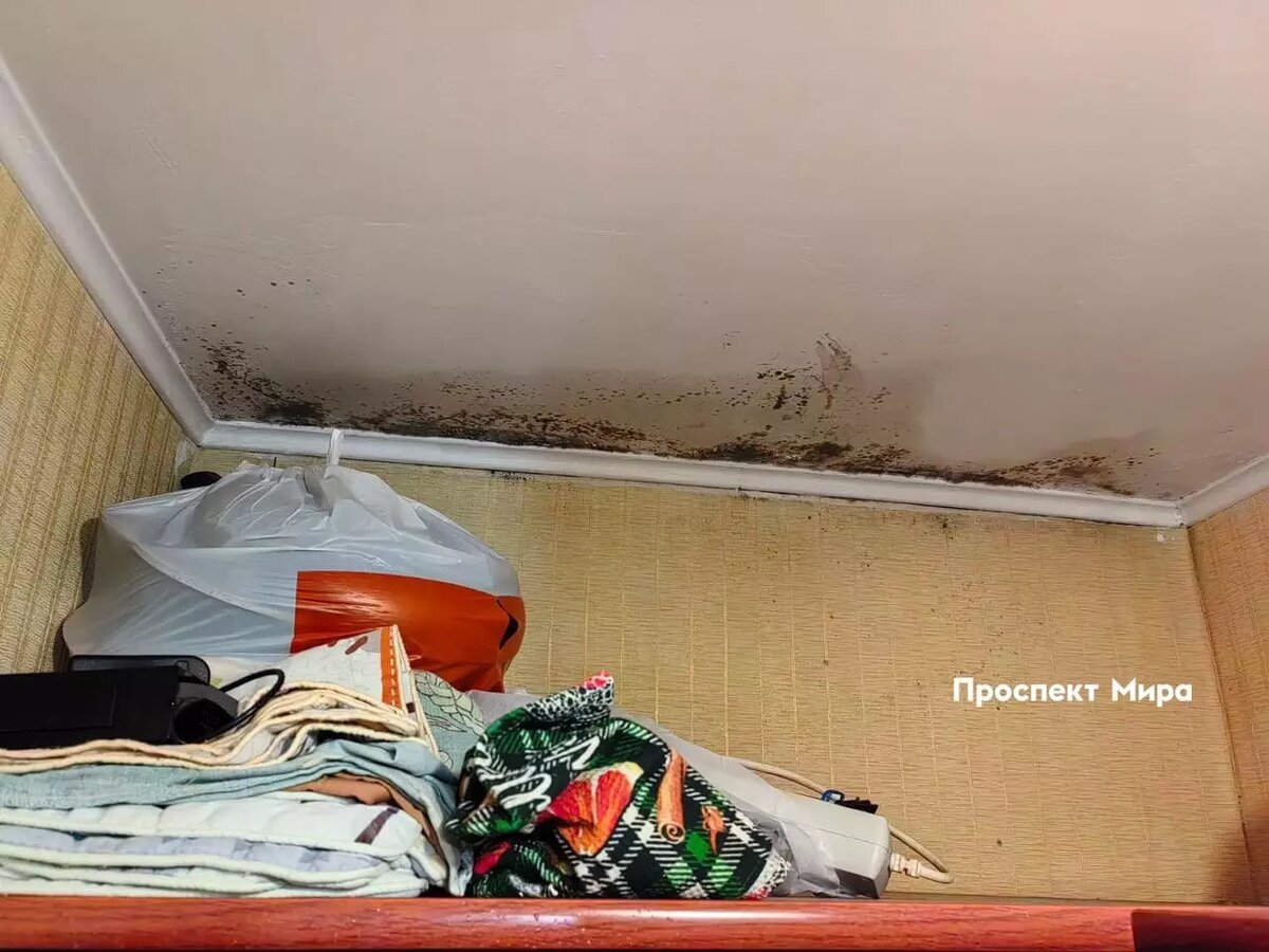     Источник: prmira.ru