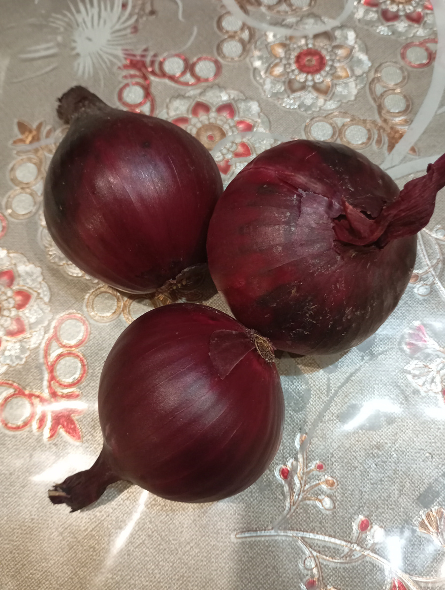 Фото автора.