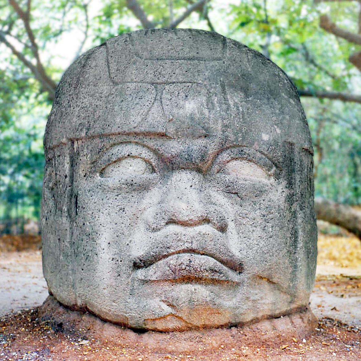 Считается, что головы ольмеков изображают реальных правителей Мезоамерики, но никто не знает этого наверняка.