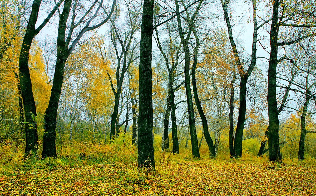 Фотография, стихотворение Василия Глуцкого