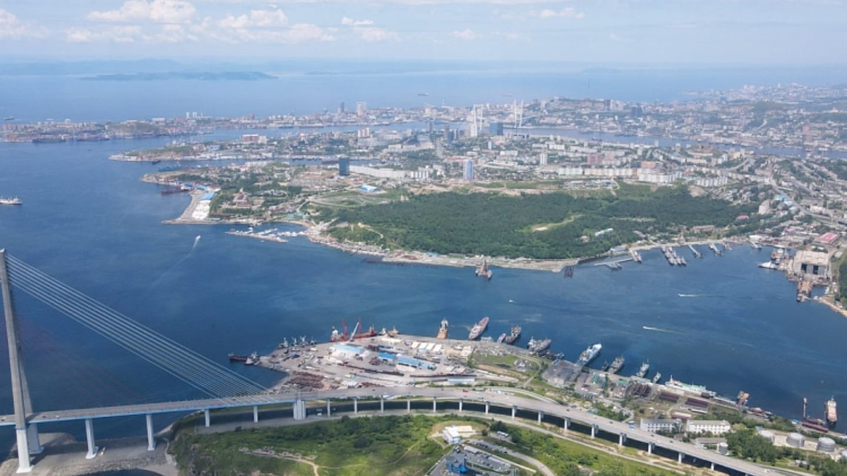     Источник: primorsky.ru