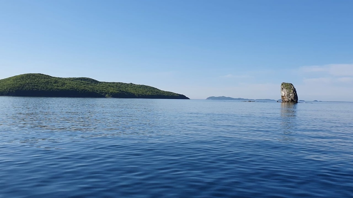     Источник: vostokmedia.com