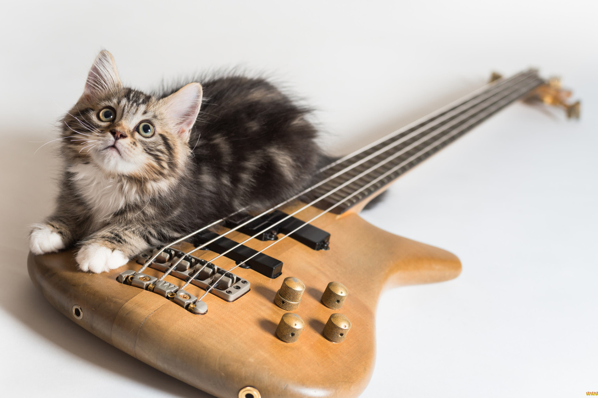 Фото: artfile.me