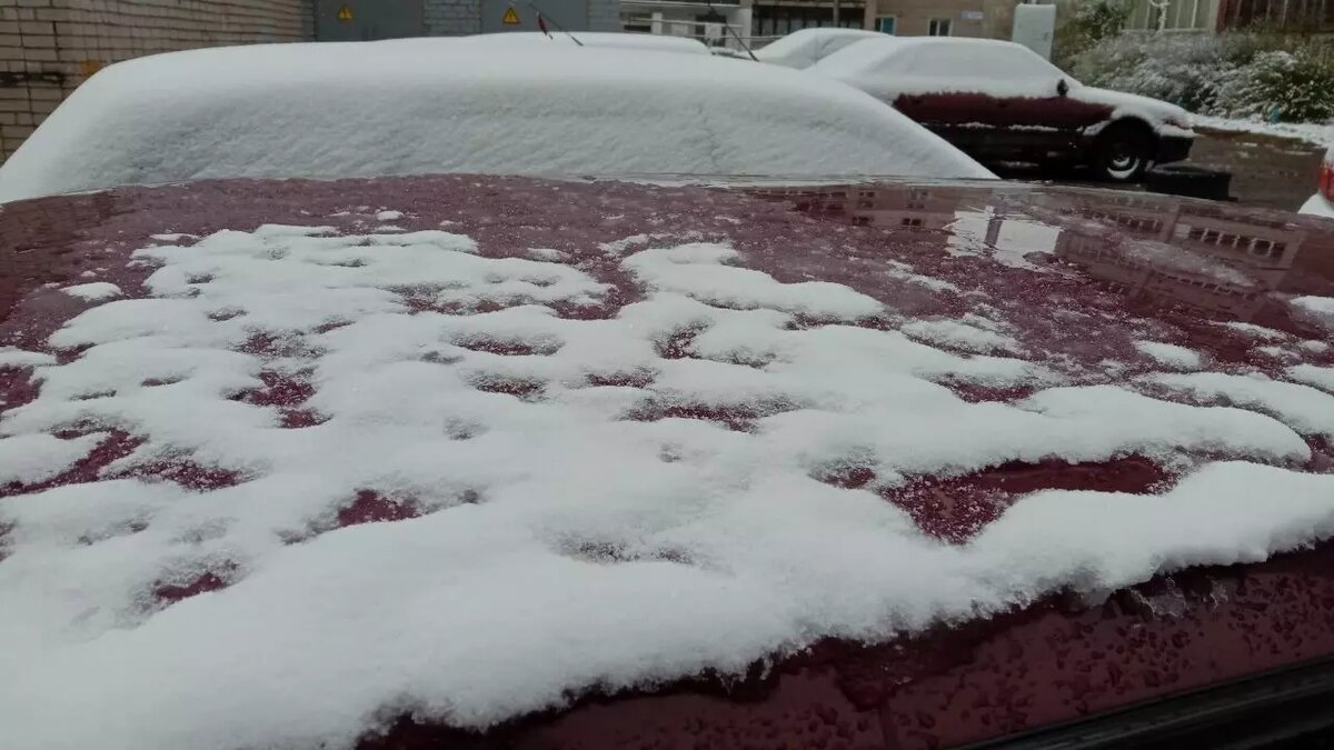     Источник: rostovgazeta.ru