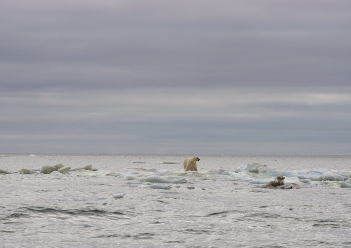 https://visitsiberia.info/