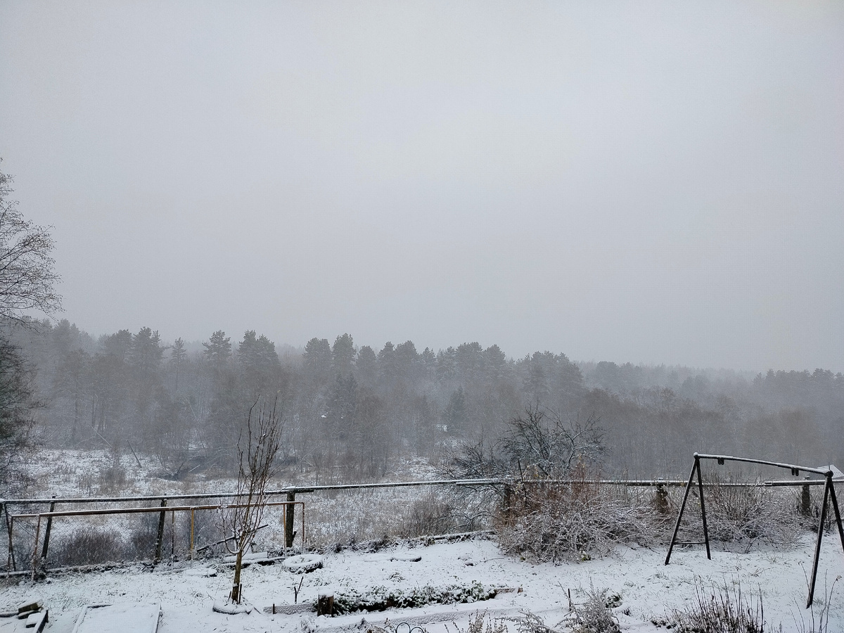 Утренний снег ноября