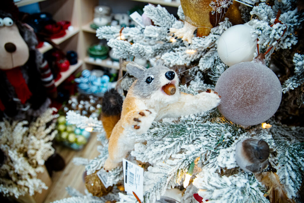 Фото: Варвара Вострокнутова