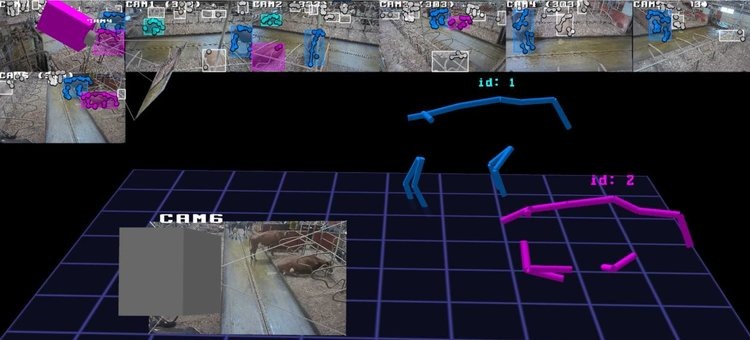    Цифровой наблюдатель за отдыхом молочных коров позволит повысить надои и благополучие животных