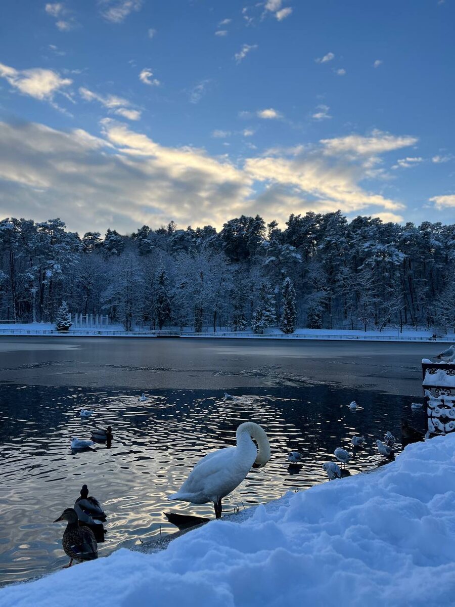 Верхнее озеро. 21.11.2024
