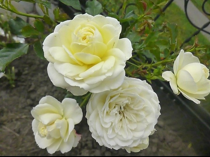 фото Натальи