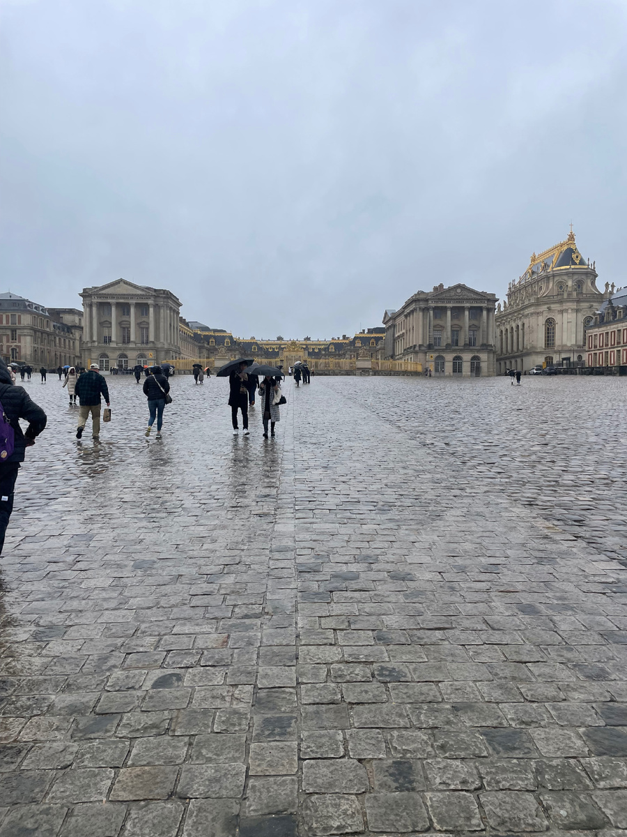 Конечно, он великолепный.