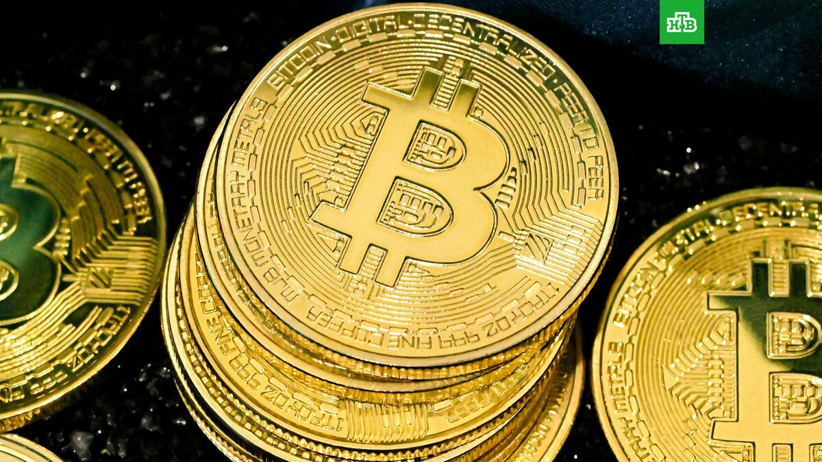    Фото: Traxer / unsplash.com