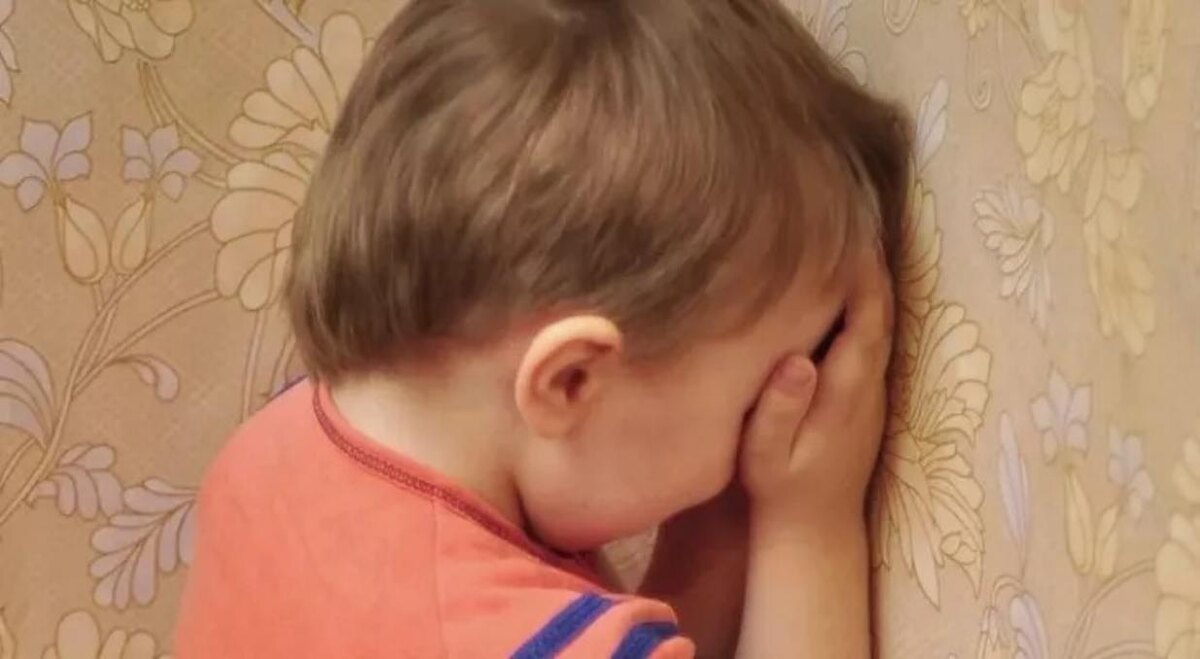 Фото: progorod43.ru