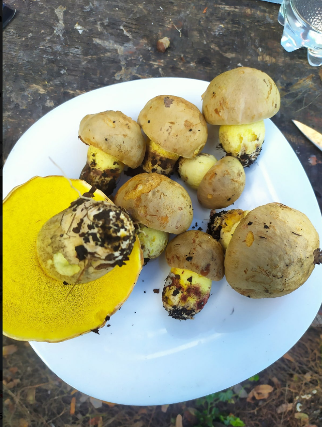 Автор фото Ольга С.