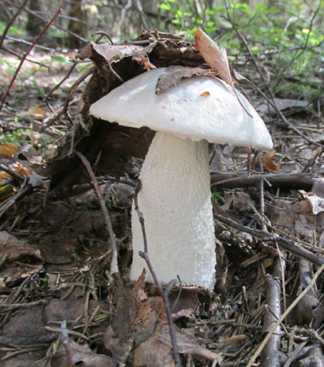 Автор фото Наталья Седова