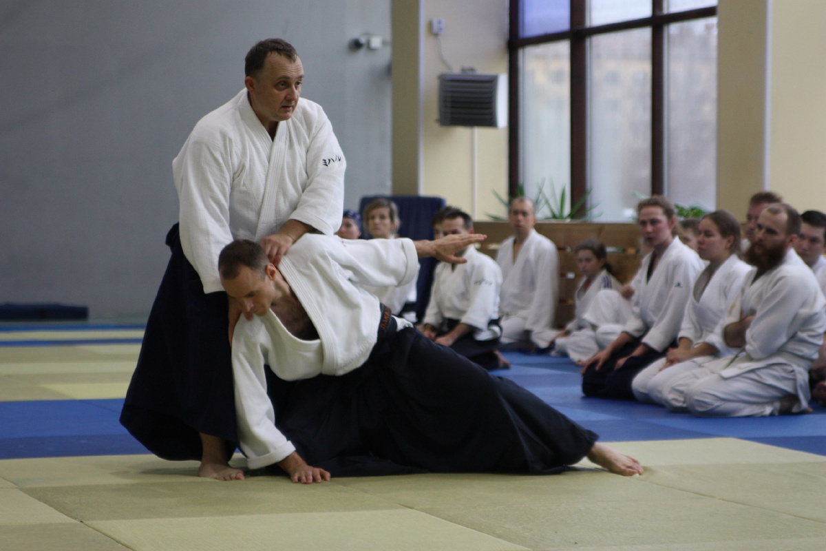 Семинар М.И. Сафронова, 2017 год