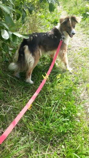 Фото автора. На прогулке с Марусей. Как же жалко мне было с ней расставаться!