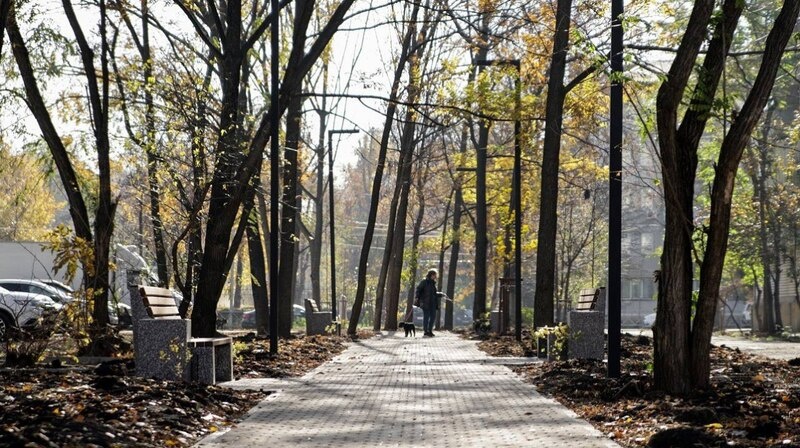    Фото: пресс-служба мэрии Краснодара